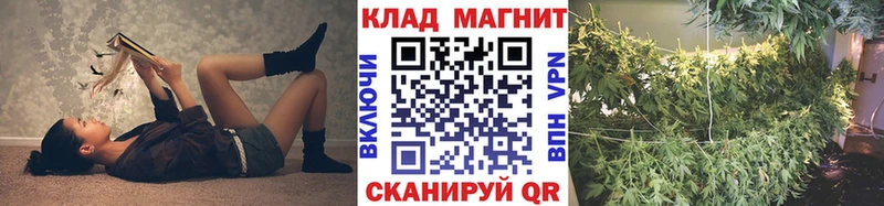 Купить наркотик Мариинск Бошки Шишки  Кокаин  ГАШ 