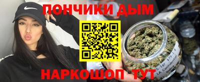 стафф Кингисепп