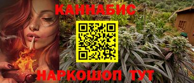 стафф Кингисепп