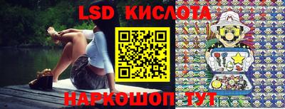 стафф Кингисепп