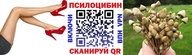 Псилоцибиновые грибы Cubensis Мариинск