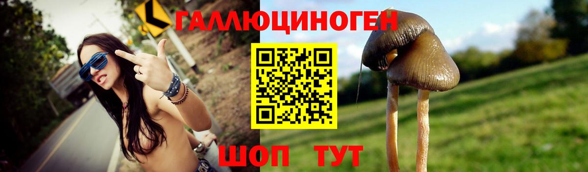 Мариинск  Псилоцибиновые грибы ЛСД  Вход с VPN  Галлюциногенные грибы Magic Shrooms 